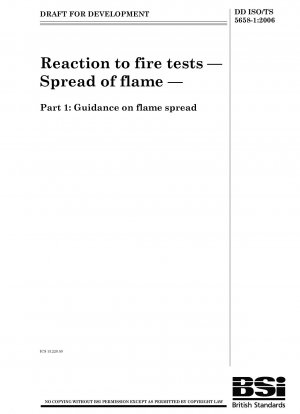 Prüfungen zum Brandverhalten – Flammenausbreitung – Anleitung zur Flammenausbreitung