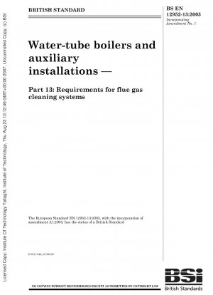 Wasserrohrkessel und Nebenanlagen – Anforderungen an Rauchgasreinigungsanlagen