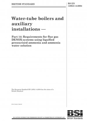 Wasserrohrkessel und Nebenanlagen - Anforderungen an Rauchgas-DENOX-Systeme mit verflüssigtem Druckammoniak und Ammoniakwasserlösung