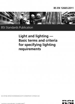 Licht und Beleuchtung. Grundlegende Begriffe und Kriterien zur Festlegung von Beleuchtungsanforderungen