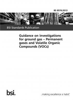 Leitfaden zur Untersuchung von Erdgas. Permanente Gase und flüchtige organische Verbindungen (VOCs)