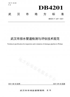 Technische Spezifikation zur Erkennung und Bewertung von Entwässerungsrohren in Wuhan