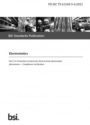 Elektrostatik. Schutz elektronischer Geräte vor elektrostatischen Phänomenen. Compliance-Überprüfung