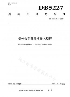 Technische Vorschriften für das Pflanzen goldener Kamelien in Guizhou