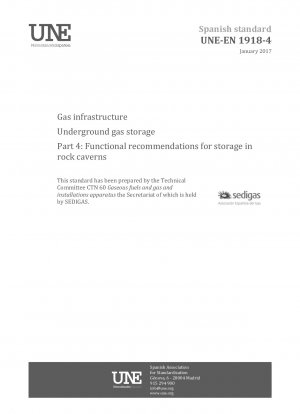 Gasinfrastruktur - Unterirdische Gasspeicherung - Teil 4: Funktionsempfehlungen für die Speicherung in Felskavernen