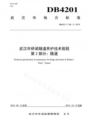 Technische Vorschriften von Wuhan für die Instandhaltung von Brücken und Tunneln, Teil 2: Tunnel