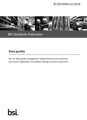 Datenqualität – Datenqualitätsmanagement: Bewertung der organisatorischen Prozessreife: Anwendung von Standards zur Prozessbewertung