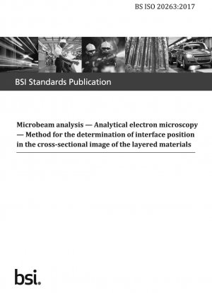 Mikrostrahlanalyse. Analytische Elektronenmikroskopie. Verfahren zur Bestimmung der Grenzflächenposition im Querschnittsbild der Schichtmaterialien