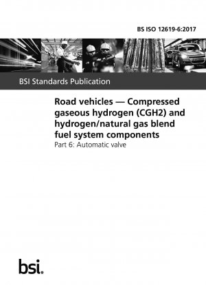 Straßenfahrzeuge. Kraftstoffsystemkomponenten für komprimierten gasförmigen Wasserstoff (CGH2) und Wasserstoff/Erdgas-Mischungen. Automatisches Ventil