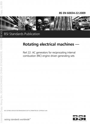 Rotierende elektrische Maschinen – Wechselstromgeneratoren für Stromerzeugungsaggregate mit hin- und hergehendem Verbrennungsmotor (RIC).