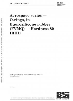 Luft- und Raumfahrtserie – O-Ringe aus Fluorsilikonkautschuk (FVMQ) – Härte 80 IRHD