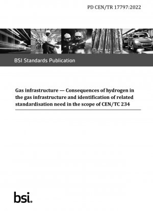 Gasinfrastruktur – Auswirkungen von Wasserstoff auf die Gasinfrastruktur und Ermittlung des entsprechenden Normungsbedarfs im Rahmen von CEN/TC 234
