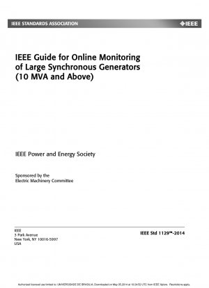 IEEE-Leitfaden zur Online-Überwachung großer Synchrongeneratoren (10 MVA und mehr)