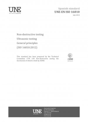 Zerstörungsfreie Prüfung – Ultraschallprüfung – Allgemeine Grundsätze (ISO 16810:2012)