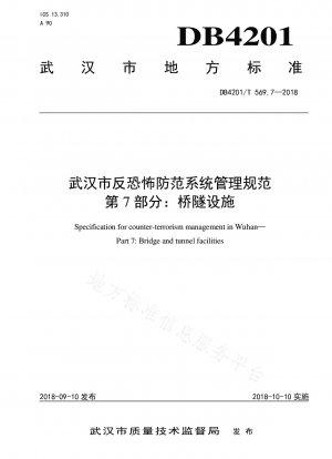 Verwaltungsspezifikationen für das Anti-Terrorismus-Präventionssystem von Wuhan, Teil 7: Brücken- und Tunnelanlagen