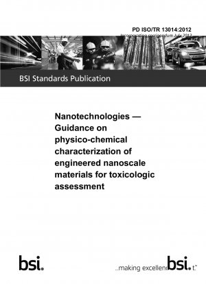 Nanotechnologien. Leitfaden zur physikalisch-chemischen Charakterisierung technischer nanoskaliger Materialien zur toxikologischen Bewertung