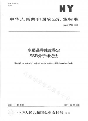 SSR-Methode zur Identifizierung der Reinheit der Reissorte mit molekularem Marker