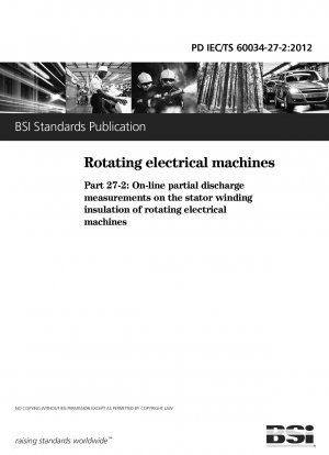 Rotierende elektrische Maschinen. Online-Teilentladungsmessungen an der Statorwicklungsisolierung rotierender elektrischer Maschinen