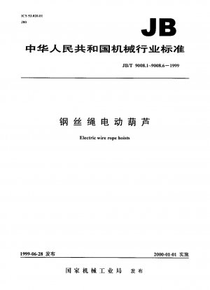 Spezifikation für Elektroseilzüge