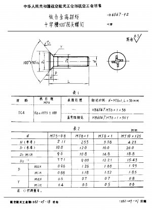 Kreuzschlitzschrauben mit 100°-Senkkopf aus Titanlegierung mit hohem Drehmoment