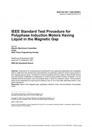IEEE-Testverfahren für mehrphasige Induktionsmotoren mit Flüssigkeit im Magnetspalt