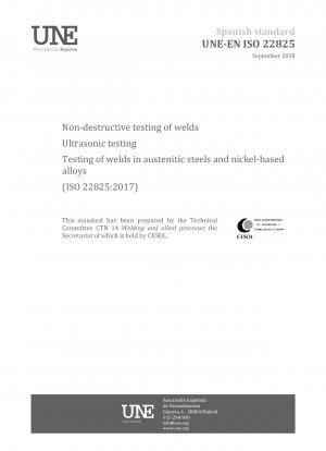 Zerstörungsfreie Prüfung von Schweißnähten – Ultraschallprüfung – Prüfung von Schweißnähten in austenitischen Stählen und Nickelbasislegierungen (ISO 22825:2017)