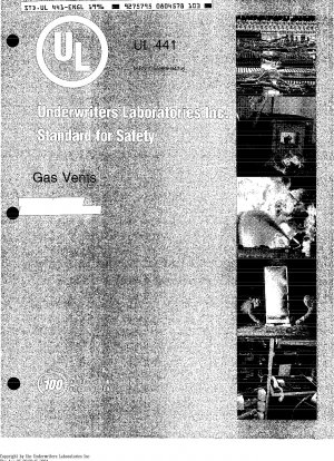 UL-Standard für Sicherheitsgasentlüftungen (Neunte Ausgabe; Nachdruck mit Überarbeitungen bis einschließlich 30. Dezember 1999)