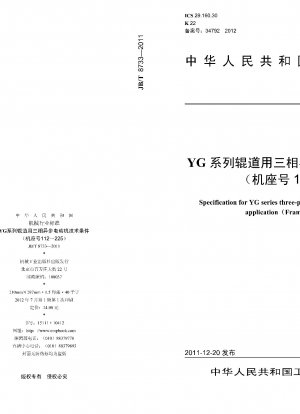 Spezifikation für Dreiphasen-Induktionsmotoren der YG-Serie für Rolltischanwendungen (Baugröße 112–225)