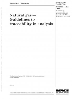 Erdgas – Richtlinien zur Rückverfolgbarkeit in der Analyse
