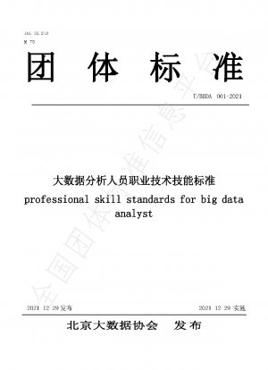 Professionelle Qualifikationsstandards für Big-Data-Analysten