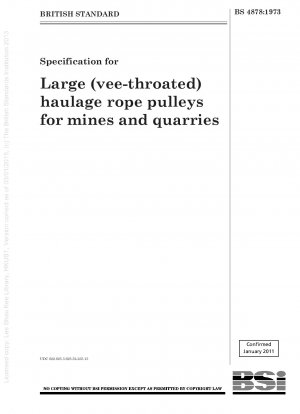 Spezifikation für große (V-förmige) Transportseilrollen für Bergwerke und Steinbrüche