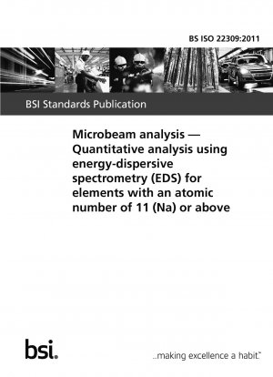 Mikrostrahlanalyse. Quantitative Analyse mittels energiedispersiver Spektrometrie (EDS) für Elemente mit einer Ordnungszahl von 11 (Na) oder höher