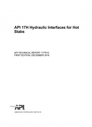 API 17H-Hydraulikschnittstellen für Hot Stabs (ERSTE AUSGABE)