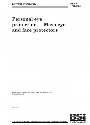 Persönlicher Augenschutz – Netz-Augen- und Gesichtsschutz