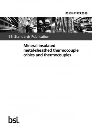 Mineralisolierte metallummantelte Thermoelementkabel und Thermoelemente