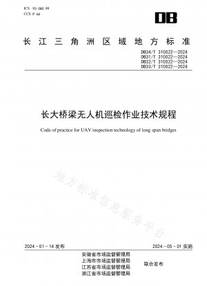 Technische Vorschriften für UAV-Inspektionsarbeiten an der Changchun-Brücke