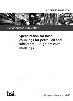Spezifikation für Schlauchkupplungen für Benzin, Öl und Schmierstoffe – Hochdruckkupplungen