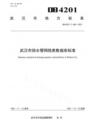 Datenbankstandard für versteckte Gefahren des Entwässerungsrohrnetzes in Wuhan