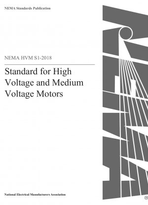 High Voltage and Medium Voltage Motors