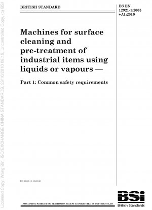 Maschinen zur Oberflächenreinigung und Vorbehandlung von Industriegütern mit Flüssigkeiten oder Dämpfen – Allgemeine Sicherheitsanforderungen
