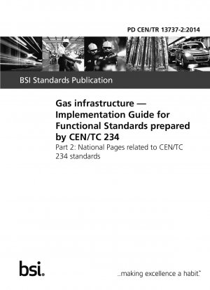 Gasinfrastruktur. Implementierungsleitfaden für funktionale Standards, erstellt von CEN/TC 234. Nationale Seiten zu CEN/TC 234-Standards
