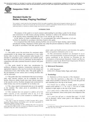 Standardhandbuch für Rollhockey-Spielanlagen