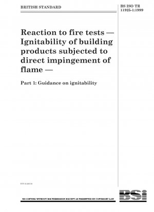 Prüfungen zum Brandverhalten – Entzündbarkeit von Bauprodukten bei direkter Flammeneinwirkung – Leitlinien zur Entzündbarkeit